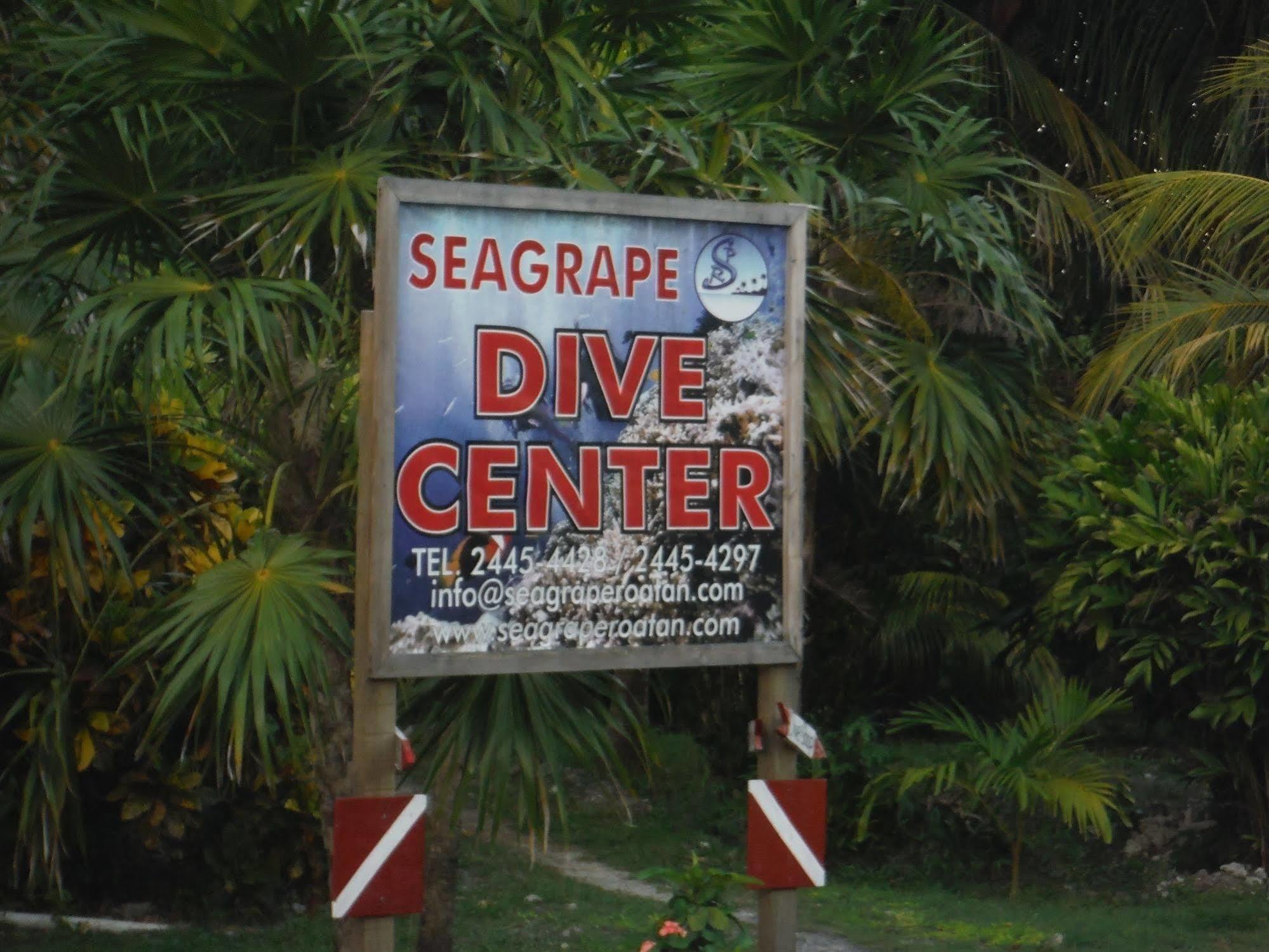 Seagrape Plantation Resort & Dive Center West End Exterior foto